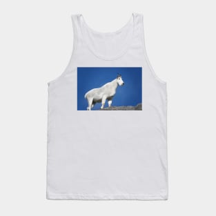 Mountain goat (Oreamnos americanus) in Mount Rainier National Park Tank Top